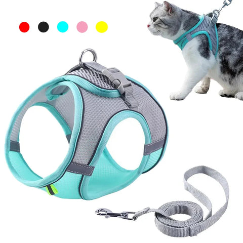 Adjustable Cat Harness & Leash Set – Perfect for Outdoor Walks and Adventures